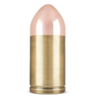 25 oz Stainless Steel Bullet Shaker