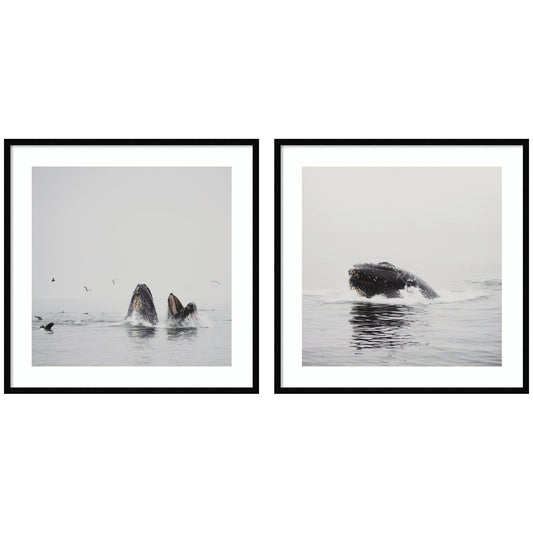 Humpback Whale 2 Piece Framed Wall Art Print Set by Laura Evans