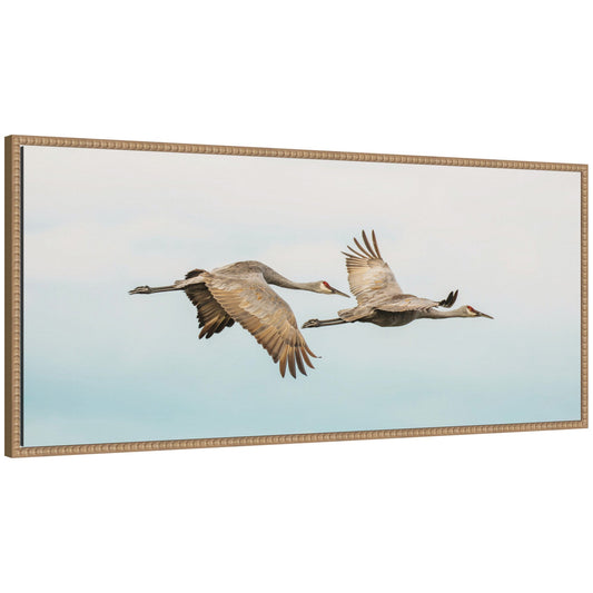 Cranes Flying Panel by Emiko and Mark Franzen F2 Images Framed Canvas Wall Art Print