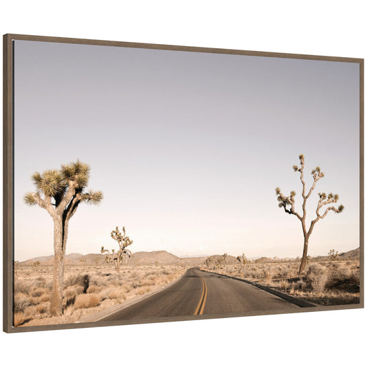 Driving Joshua Tree No. 3 by Alicia Bock Framed Canvas Wall Art Print