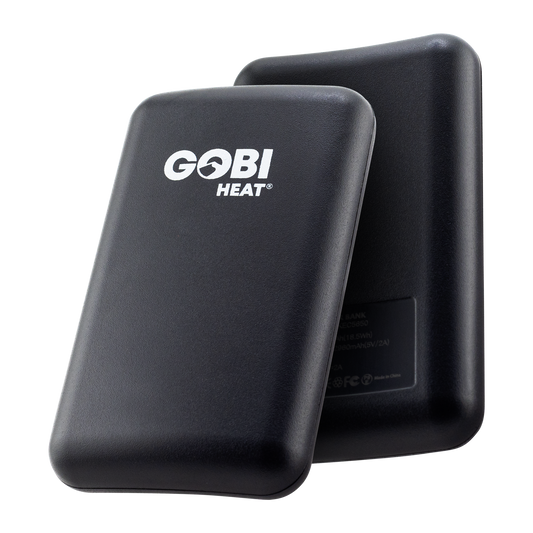 Additional/Replacement Roam Battery 2-pack