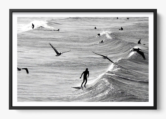 Surfing With The Free