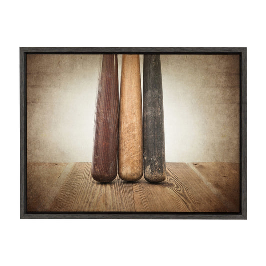Sylvie Three Vintage Bats Framed Canvas by Shawn St. Peter